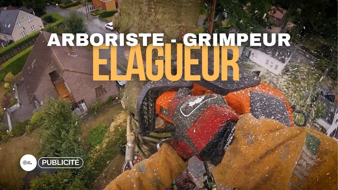 ÉLAGUEUR - ARBORISTE - GRIMPEUR