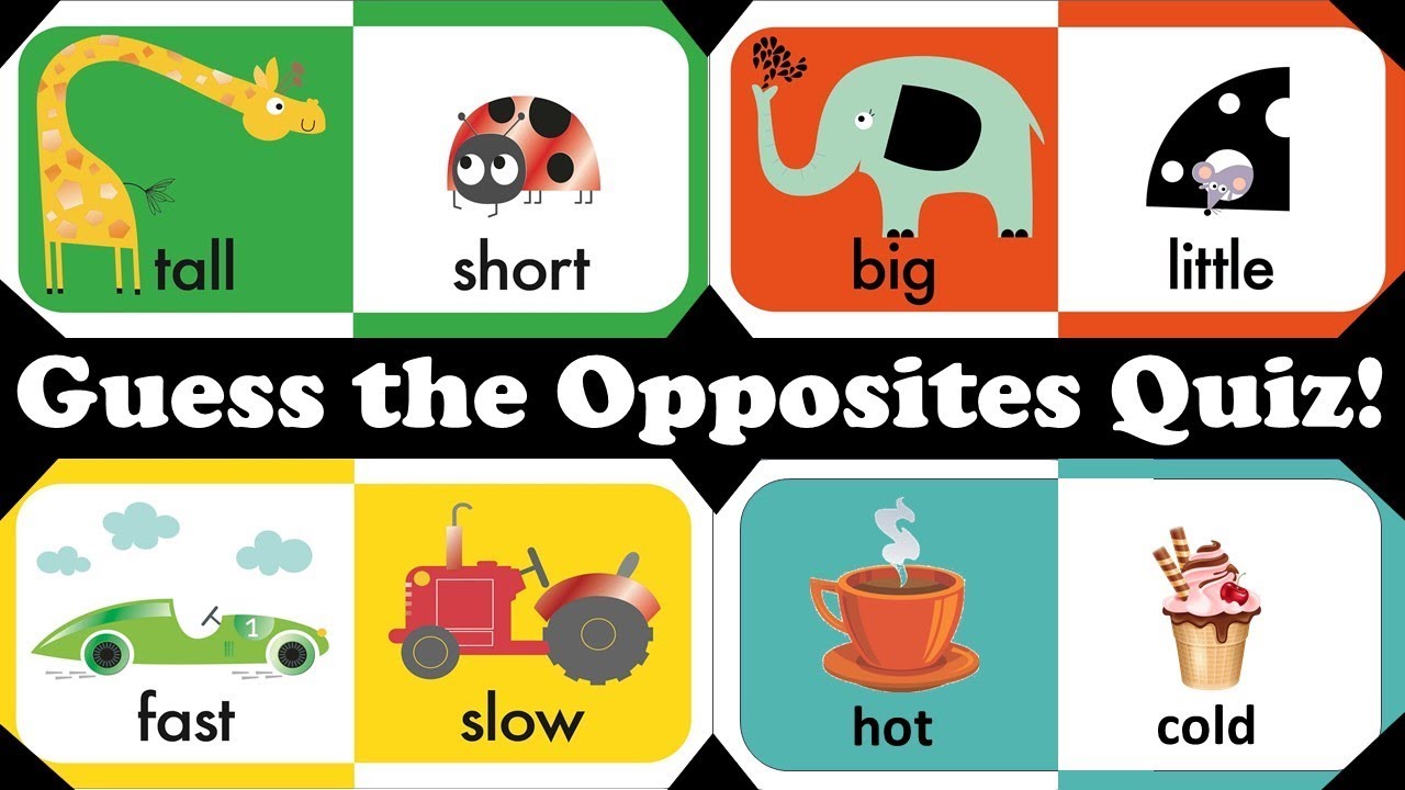 Guess the Opposites Quiz | English Grammar Quiz | GK Questions
