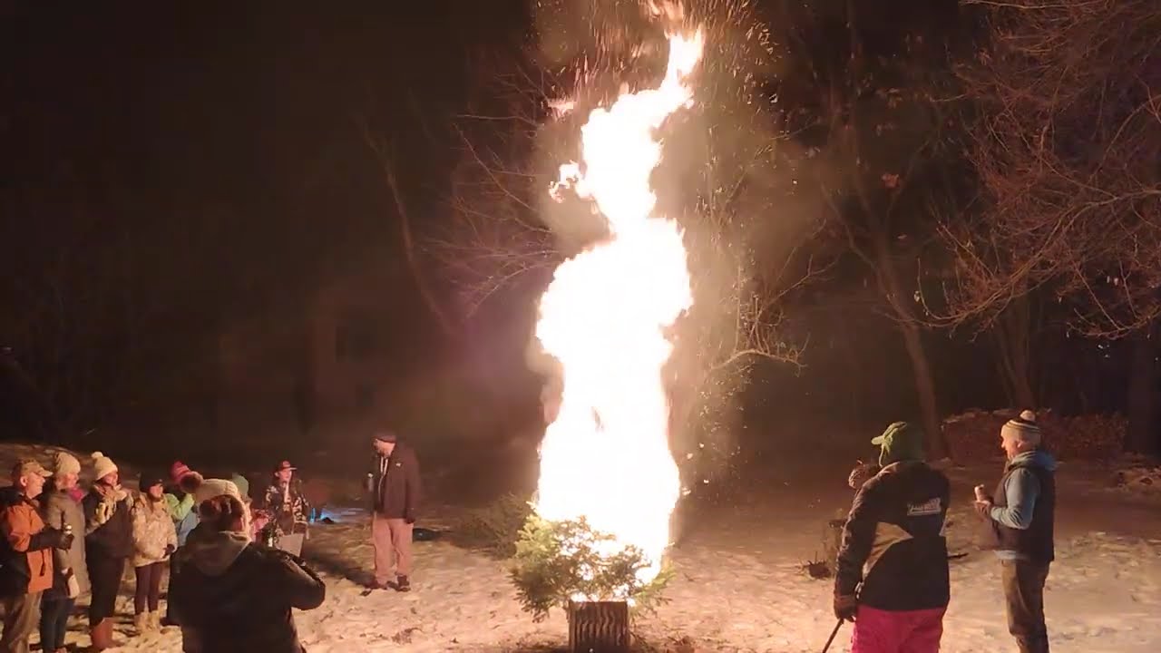 The Doherty Tree - Jan 25, 2025
