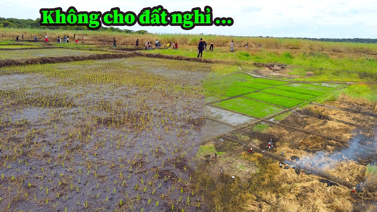 Quang Dũng || Bác Chủ Đất Hoàn Toàn Thán Phục Trước Những Dự Án Sắp Tới