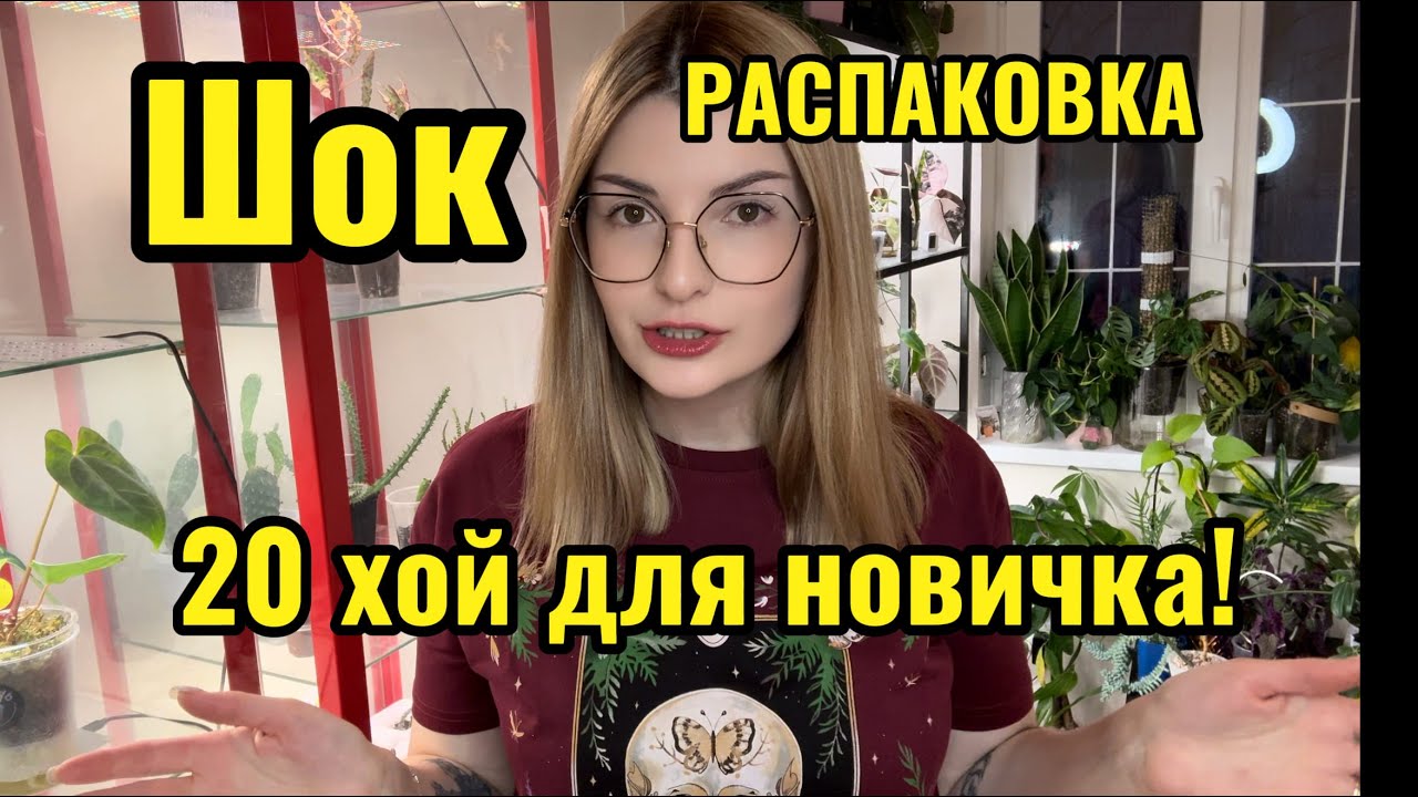 ШОК РАСПАКОВКА/20 ХОЙ/ПЕРВЫЕ ВПЕЧАТЛЕНИЯ