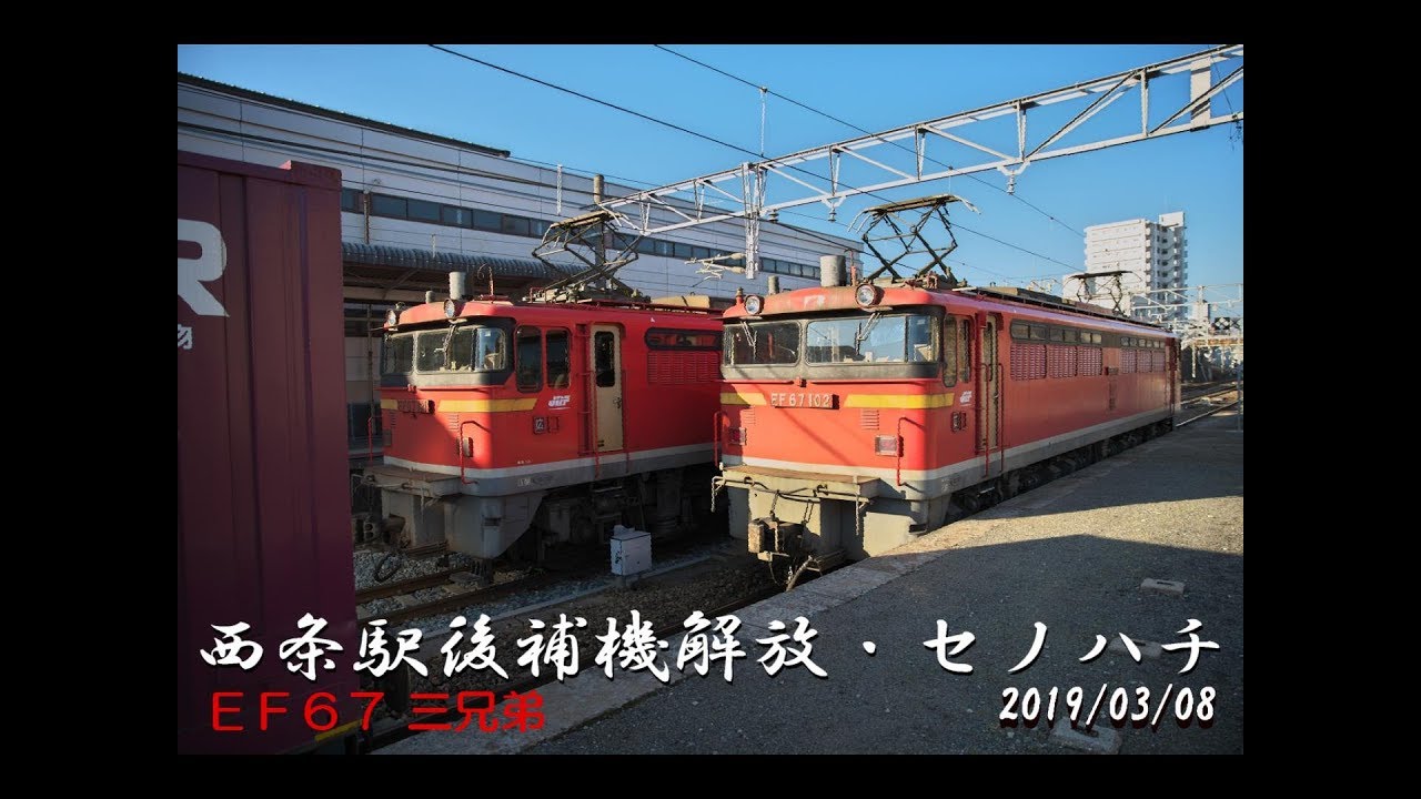JR貨物西条駅後補機解放・セノハチ(2019/03/08)