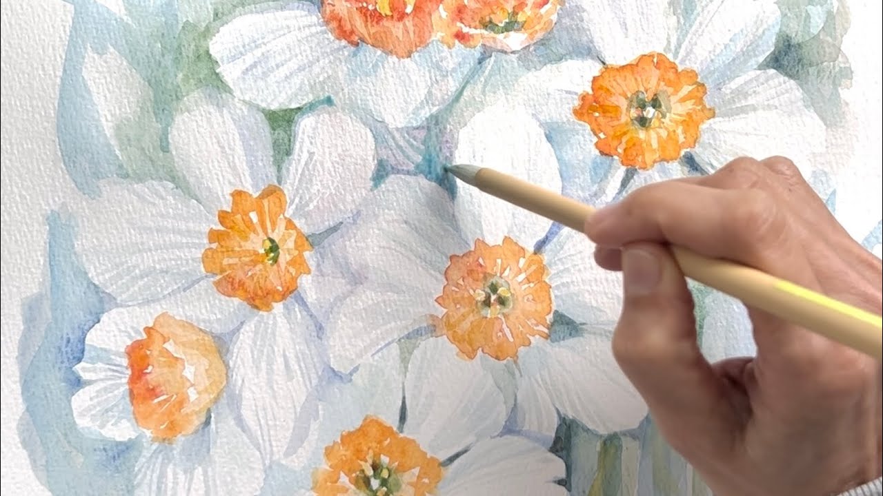 [水彩画]スイセンの花を透明水彩で描く/watercolorpainting /制作過程