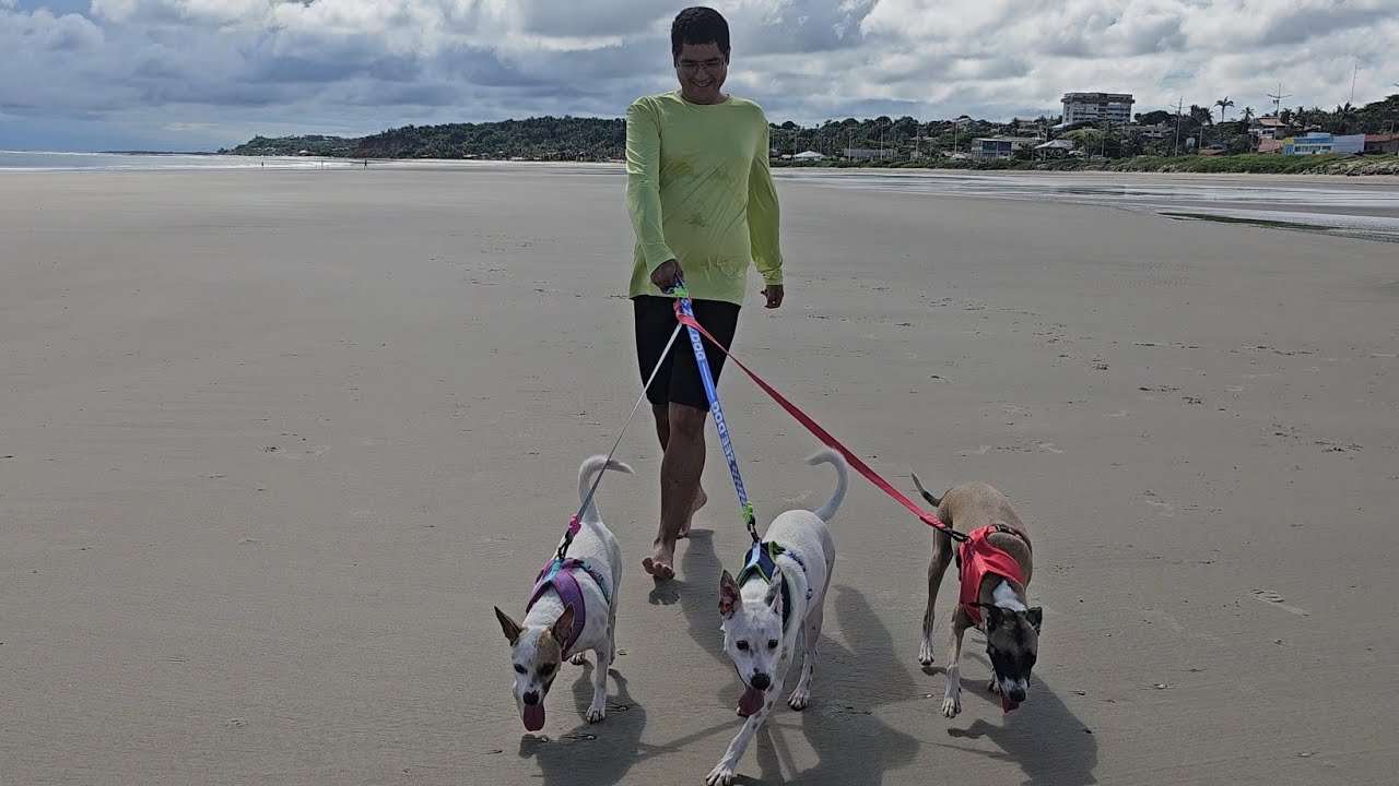 LEVAMOS NOSSOS 3 CACHORROS PARA A PRAIA! (muita bagunça?)