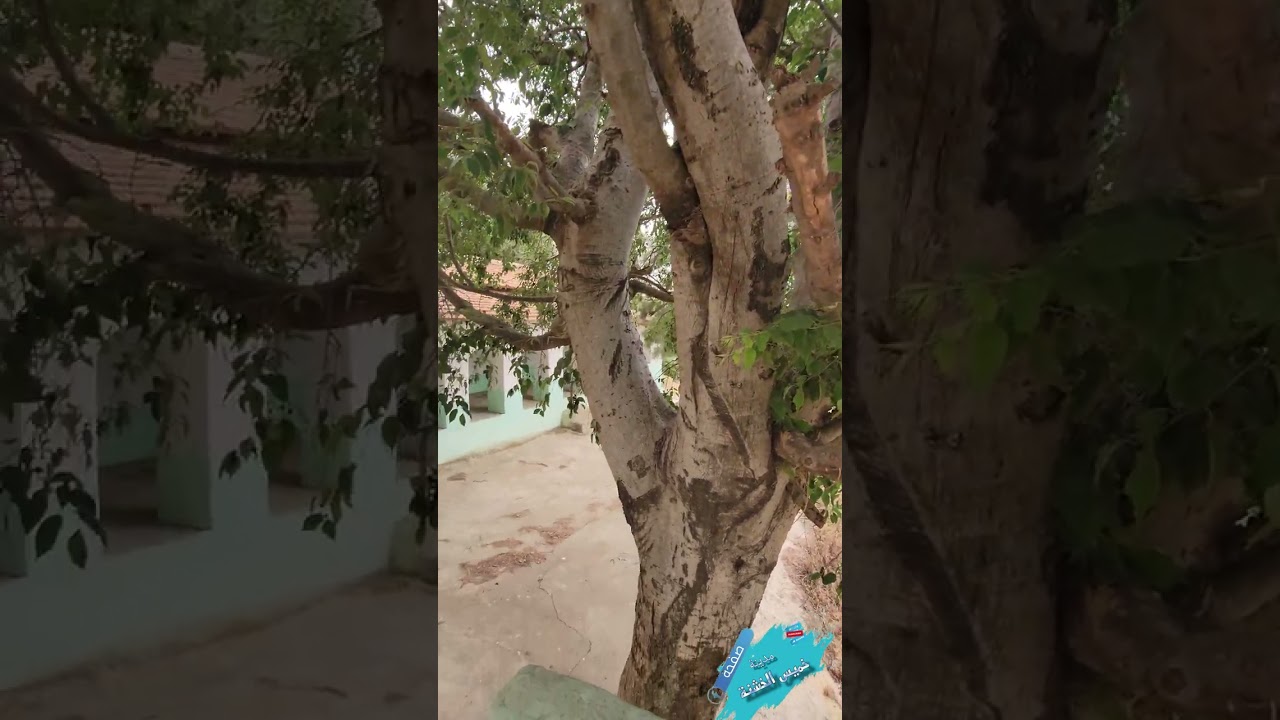 زاوية الغبارنة خميس الخشنة ولاية بومرداس