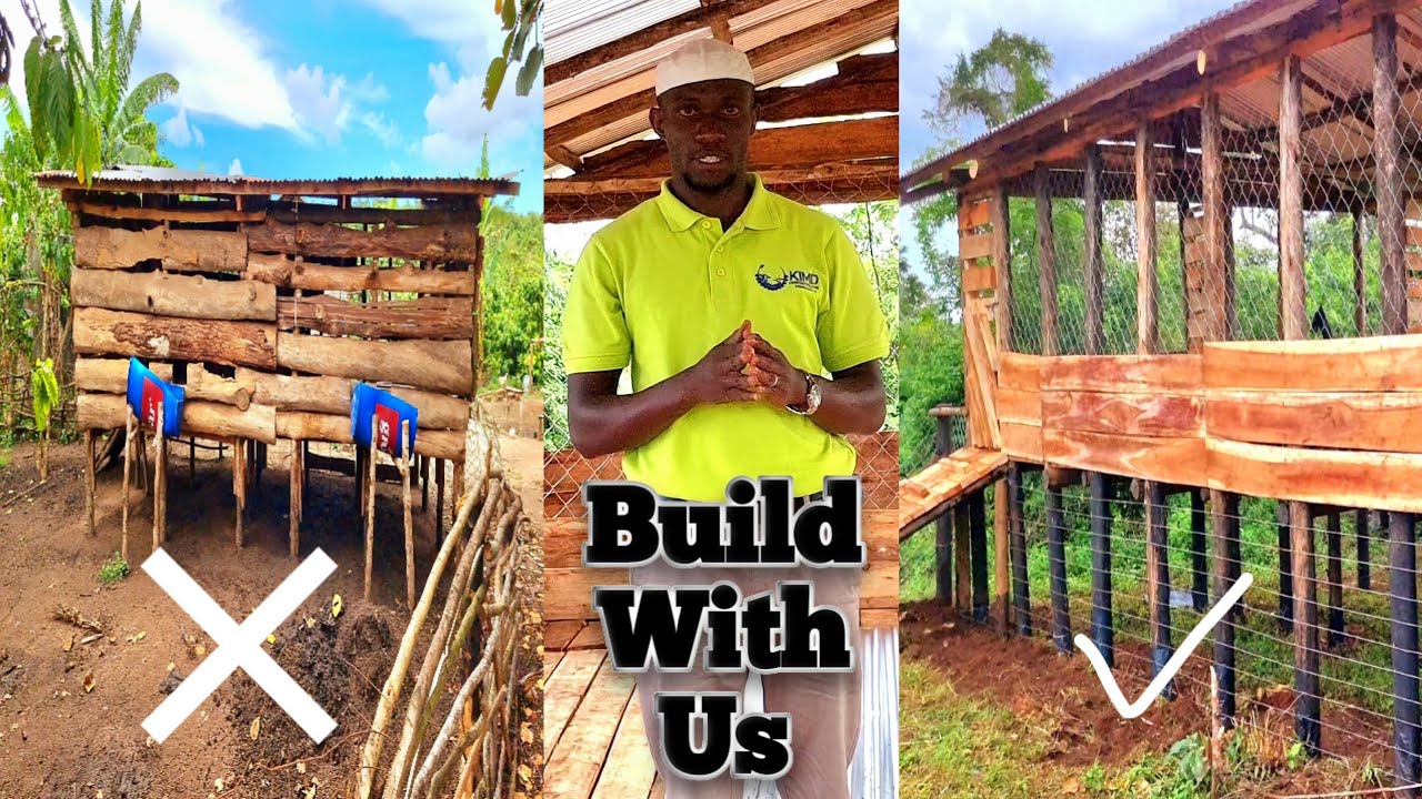 Standard Raised Goat Structure for 100 - 150 goats | 2023