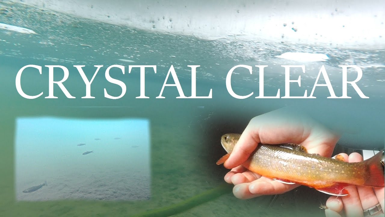 CRYSTAL CLEAR Trout Fishing - Ice Fishing at Winter's End (MY MOST TROUT EVER!)