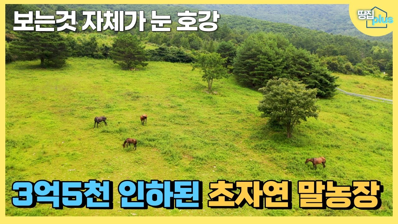 [가격인하] 