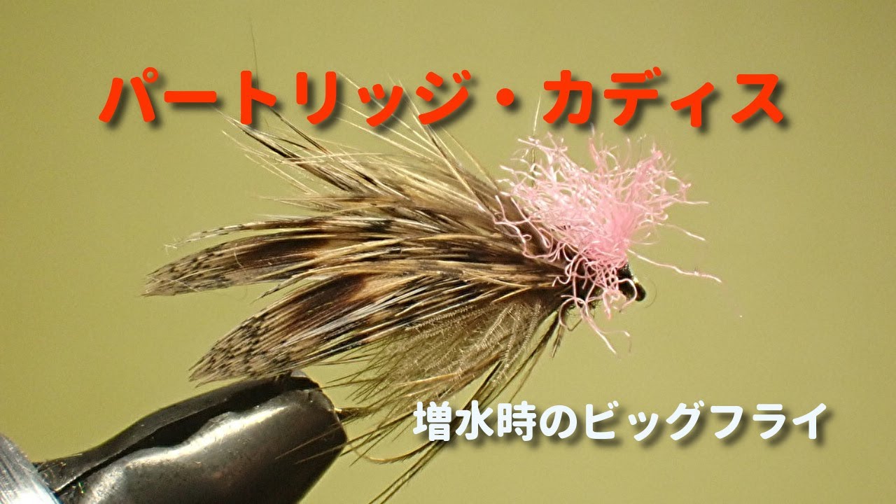 秋の増水時用フライ    パートリッジ・カディス