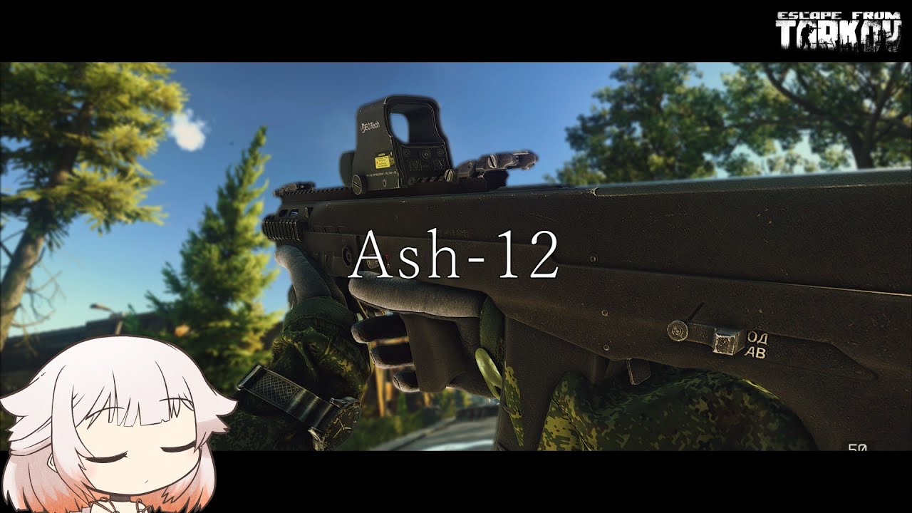 Ash-12 50口径で穴埋めアッシュ【ONE実況】【タルコフ】【EFT】