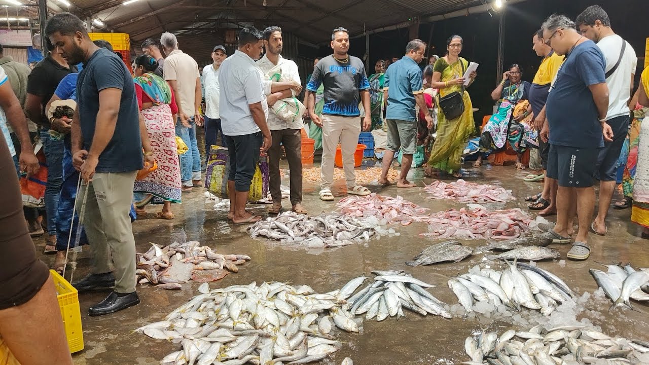 Pachu Bandar Fish Market l Vasai Wholesale Fish l Part 01 