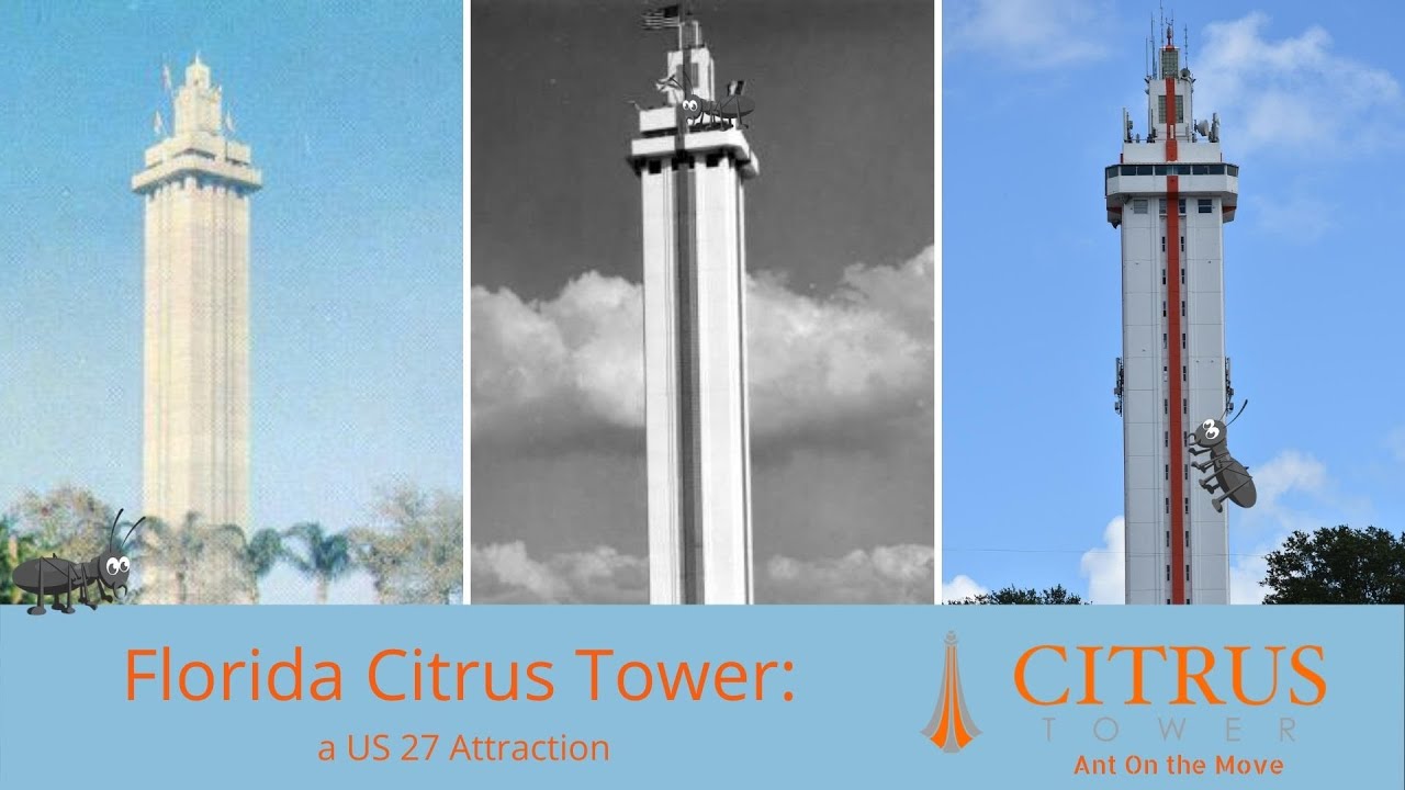 Citrus Tower Clermont Florida | History, Views & What to Expect