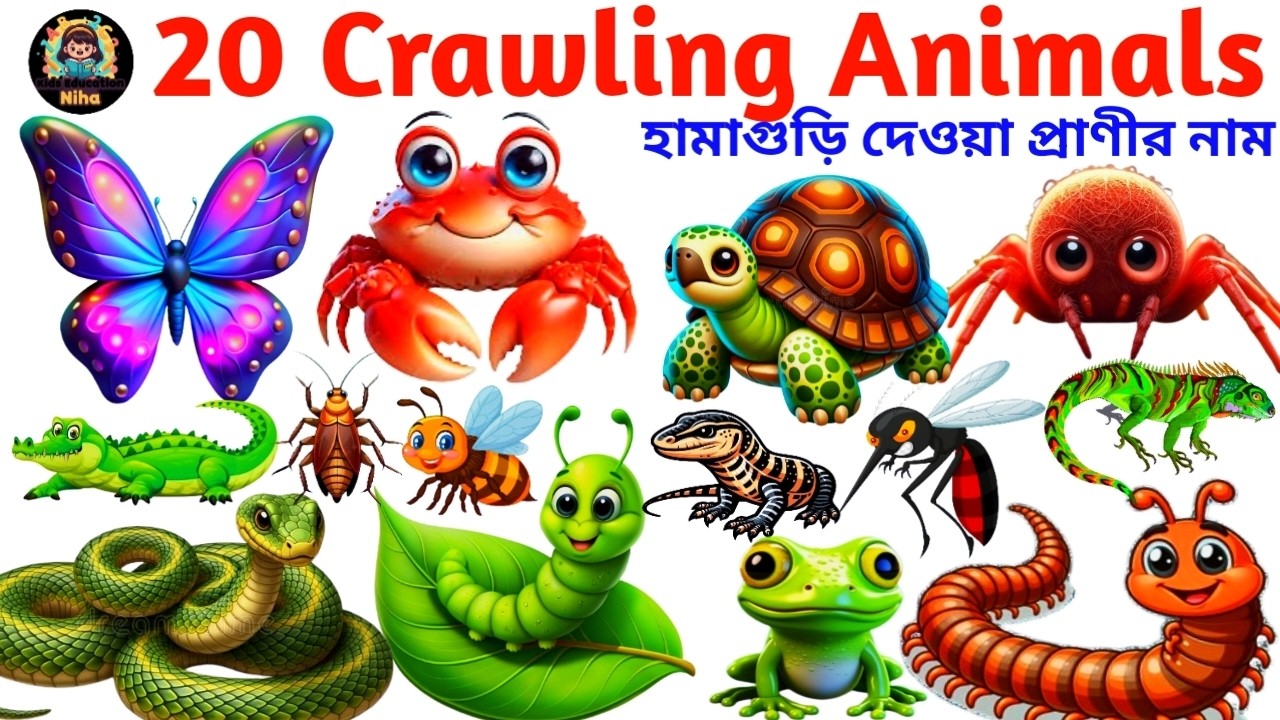 20 Crawling Animals Name in English | Crawling Animals for Kids Learning with Pictures