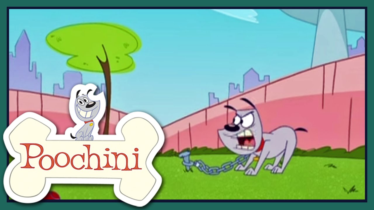 Poochini - Episódio 18 - Dog Wanted / Pleasant Puppy Dreams / Stray Dog