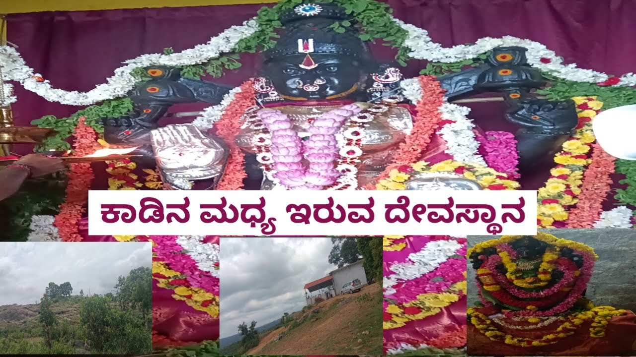 ಕುಬೇರ ಮಹಾಲಕ್ಷ್ಮಿ ದೇವಸ್ಥಾನ 🙏ಸುತ್ತ ಕಾಡು ಮಧ್ಯ ದೇವಸ್ಥಾನ