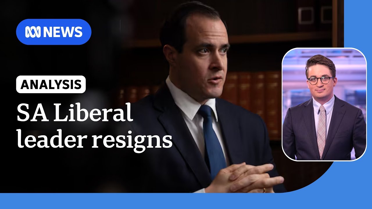 SA Liberal leader resigns three months before election | ABC NEWS