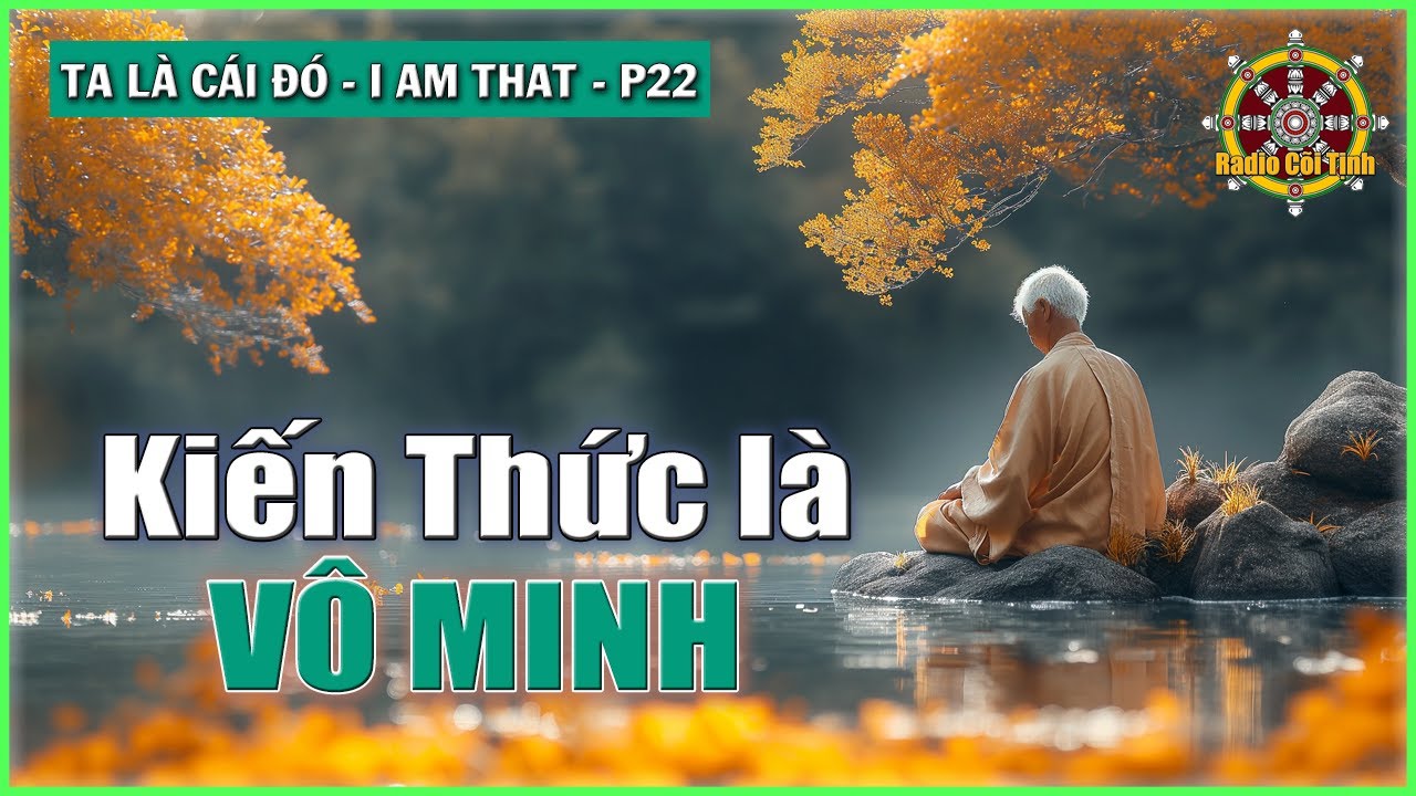 Con Người - Nhân Chứng - Cái Tuyệt Đối | Ta là Cái Đó – phần 22