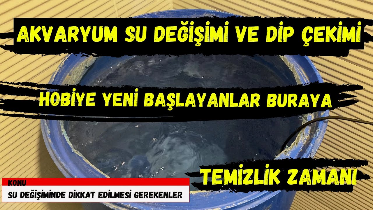 Akvaryum Temizliği Nasıl Yapılır | Akvaryum Temizleme | Akvaryum Su Değişimi ve Dip Çekimi #keşfet