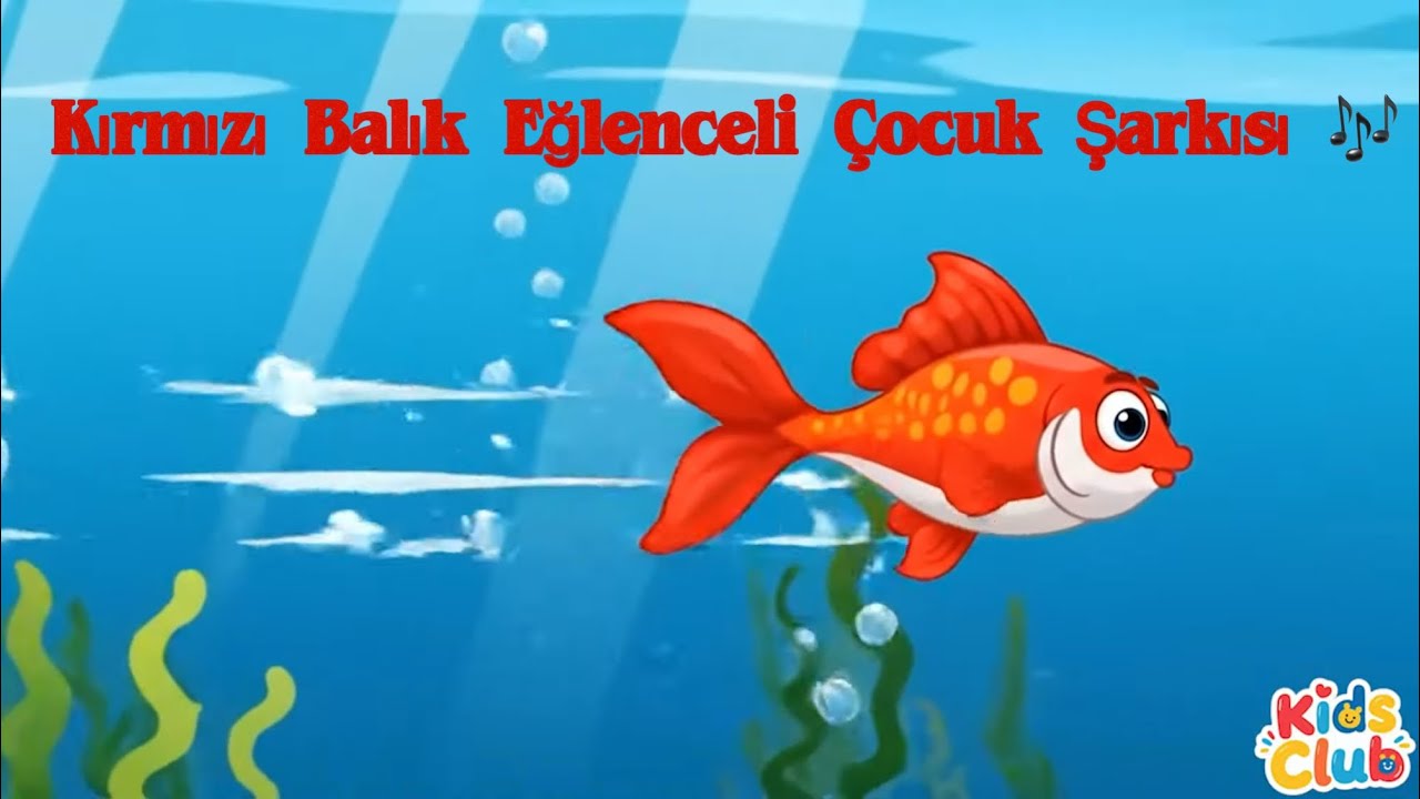 Kırmızı BALIK  - Eğlenceli Çocuk Şarkısı #turkishrhymes #çocukşarkıları #nurseryrhymes #short