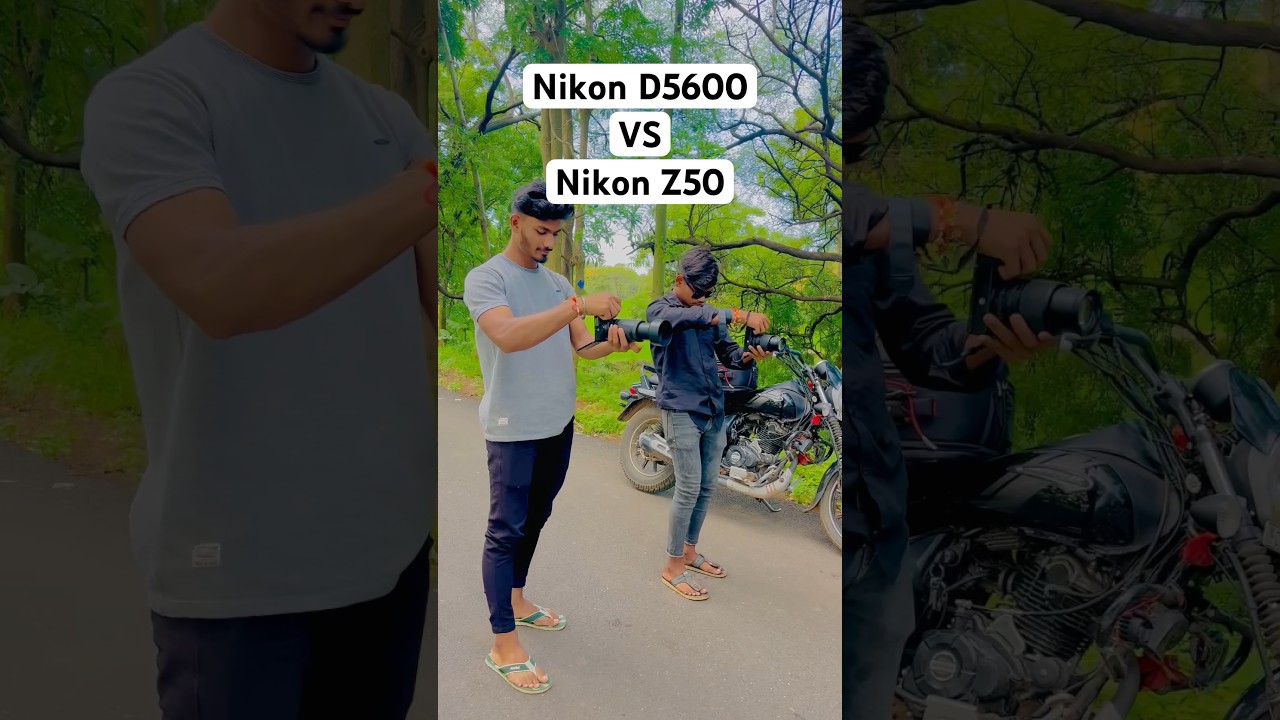 Nikon D5600 VS Nikon Z50 photoshoot #shorts #namanphotography05 #youtubeshorts #photography #india