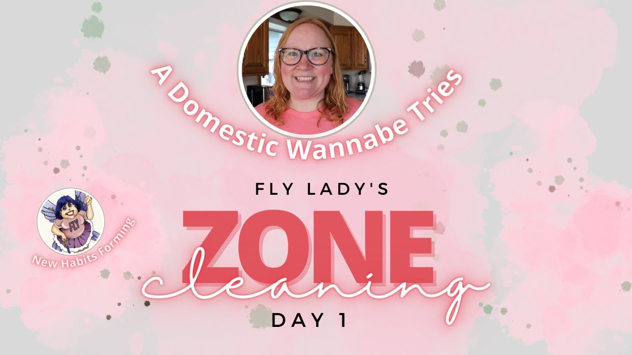 I'm Trying FlyLady Zone Cleaning for one month straight! Day 1, Zone 1