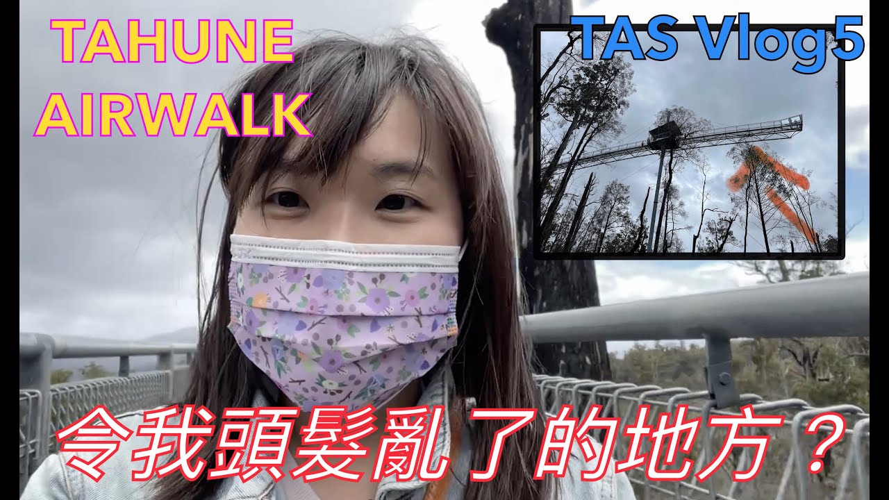 塔斯之旅 DAY5｜SALAMANCA MARKET 週六市場｜WILLIE SMITH’S APPLE SHED｜TAHUNE AIRWALK空中步道｜粵語中字 #塔斯自駕遊 #澳洲旅遊