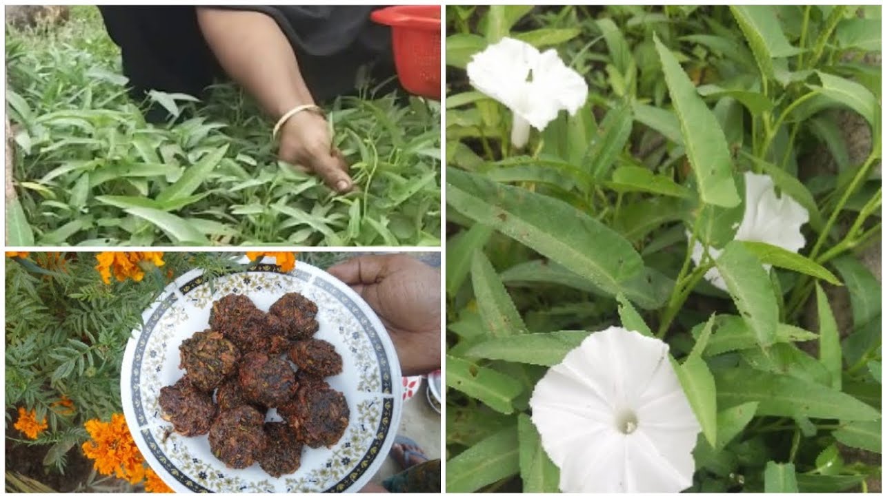 🌱তিনটি উপকরণ দিয়ে পারফেক্ট কলমি শাকের পাকোড়া।🌱@faridakitchenwithvlog#foryou. 