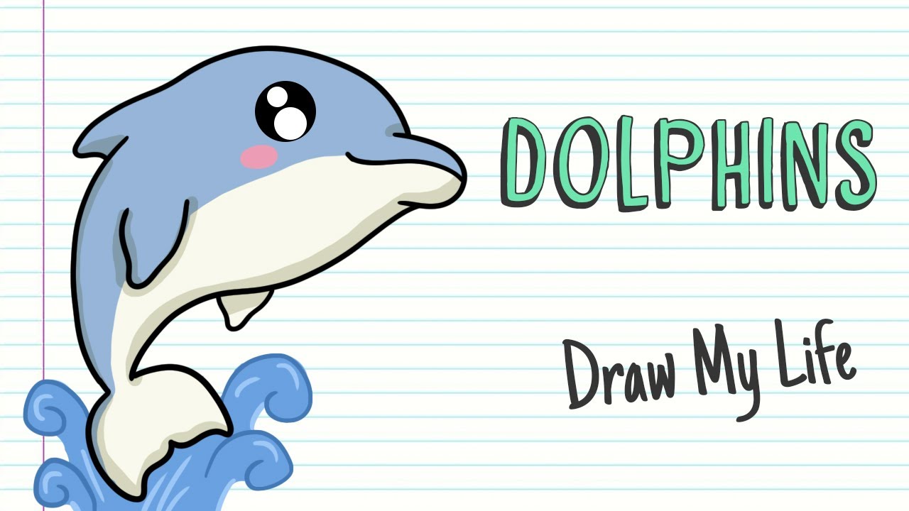 DOLPHINS 🐬 Draw My Life