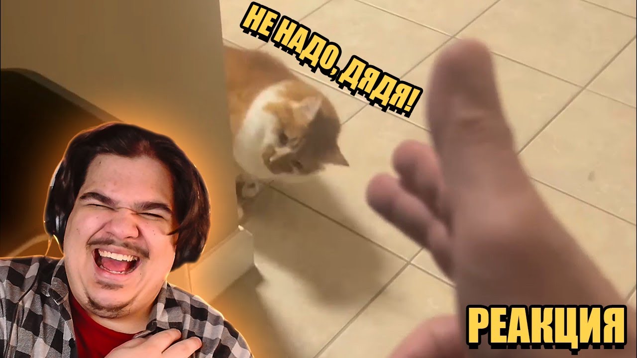 ▷ ЗАСМЕЯЛСЯ ПРОИГРАЛ | ТЕСТ НА ПСИХИКУ ЧЕЛЕНДЖ | UNUSUAL MEMES COMPILATION V356 | РЕАКЦИЯ