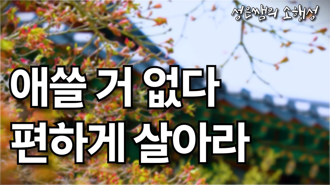 스트레스, 번아웃 없이 행복하게 사는 지혜  / 마음이 편안해지는 명상의 말씀