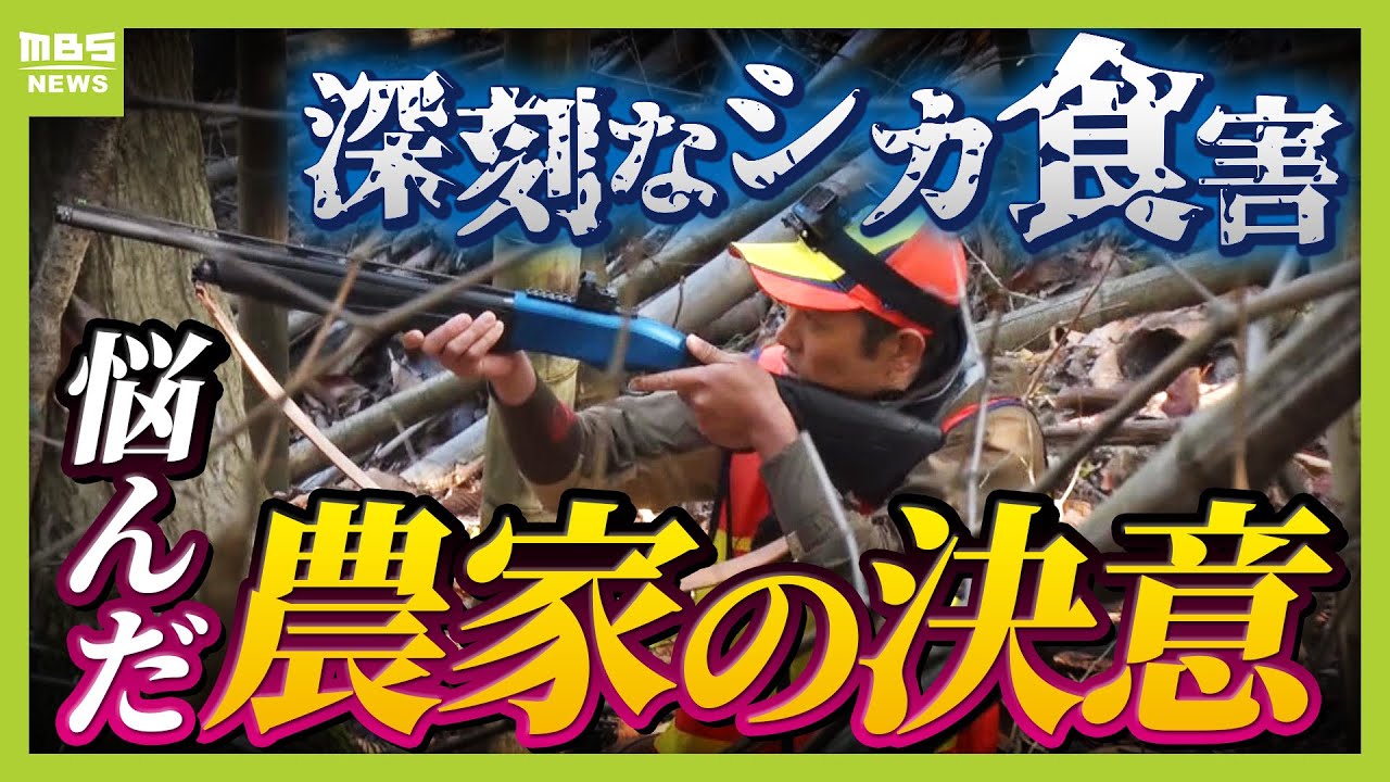 クマ出没で注目“大規模ハンター養成所”　シカの食害に悩み“ハンターになる”決意したネギ農家　訓練を重ねて挑んだ初めての銃猟【ＭＢＳニュース特集】（2025年11月25日）