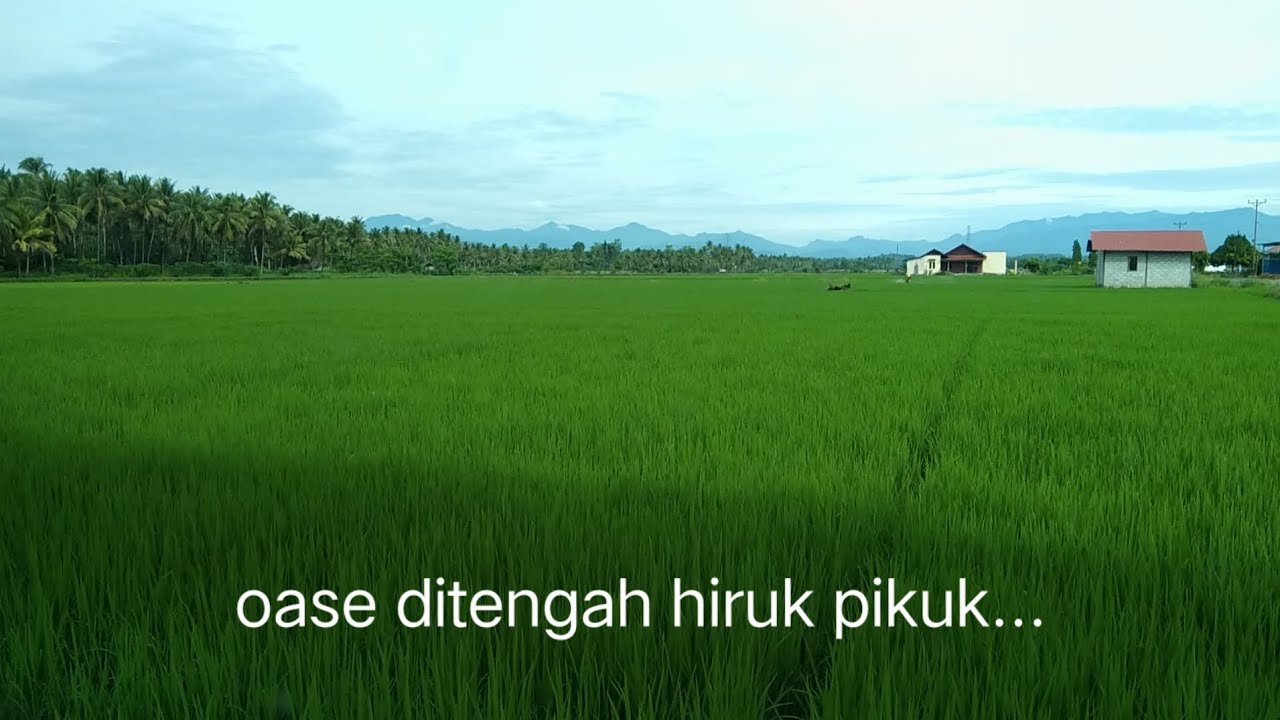 DIKAMPUNG ‼️RAMADHAN 22 FEBRUARI 2026