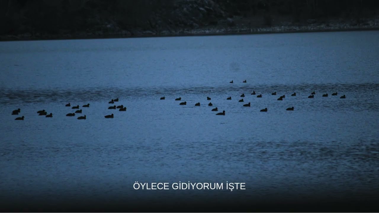 BSY - ÖYLECE GİDİYORUM İŞTE ( Official Music )