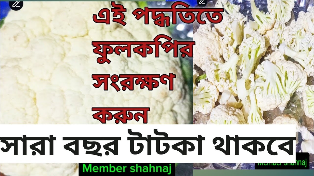 ফুলকপি সংরক্ষণের সঠিক উপায়🥦 ১টি জিনিস মিশিয়ে রাখুন সারাবছর টাটকা থাকবে🥦Cauliflower Storage Tips 