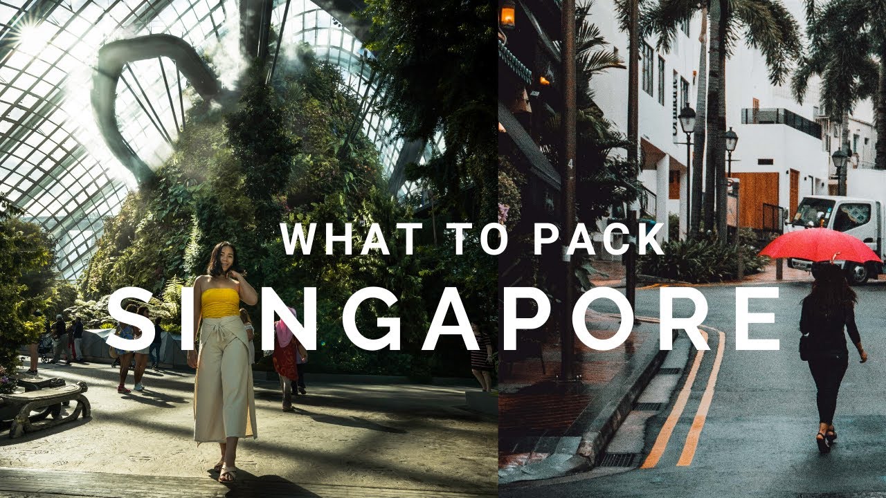 NOT TO Bring And TO BRING To Singapore (Watch This Before You Travel To Singapore ) 🇸🇬