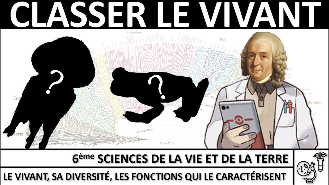 Classer les êtres vivants – Capsule 6ème SVT