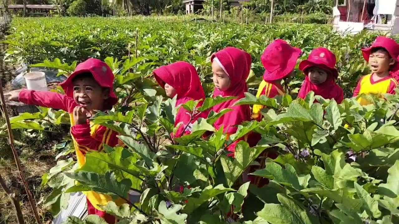 Kegiatan Outdoor Ke kebun buah semangka dan sayur terong