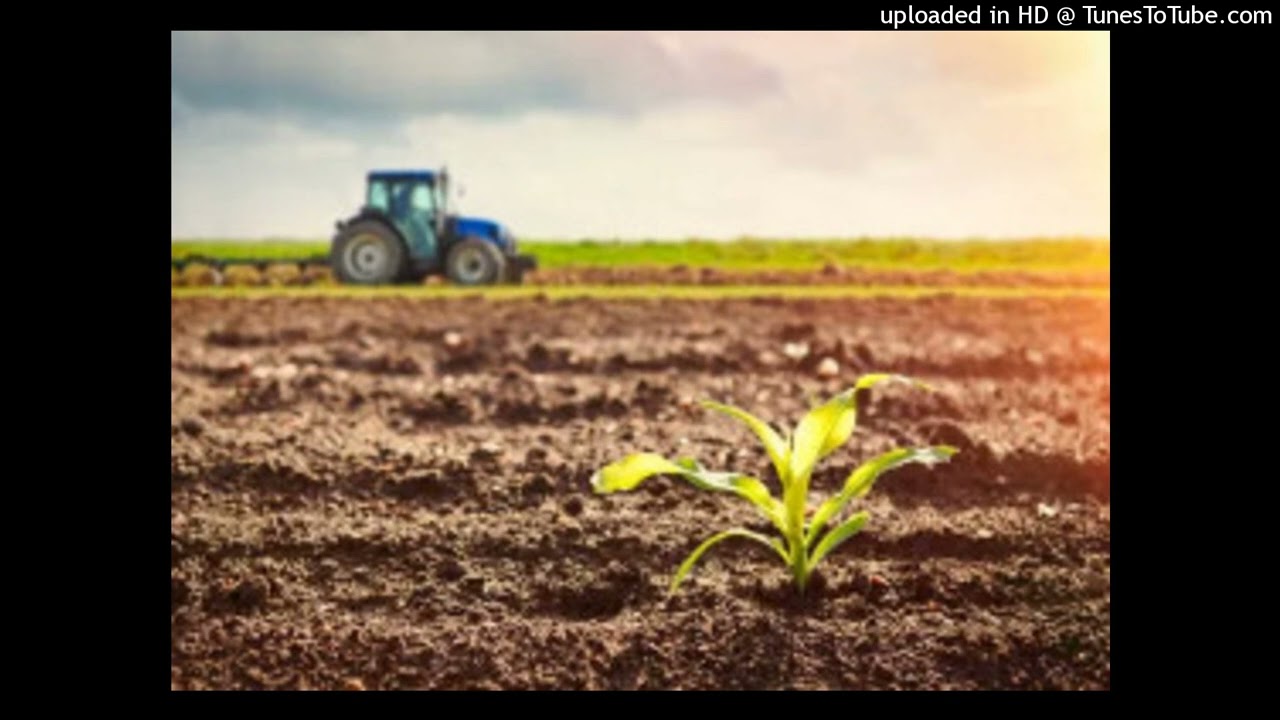 working on a farm type beat