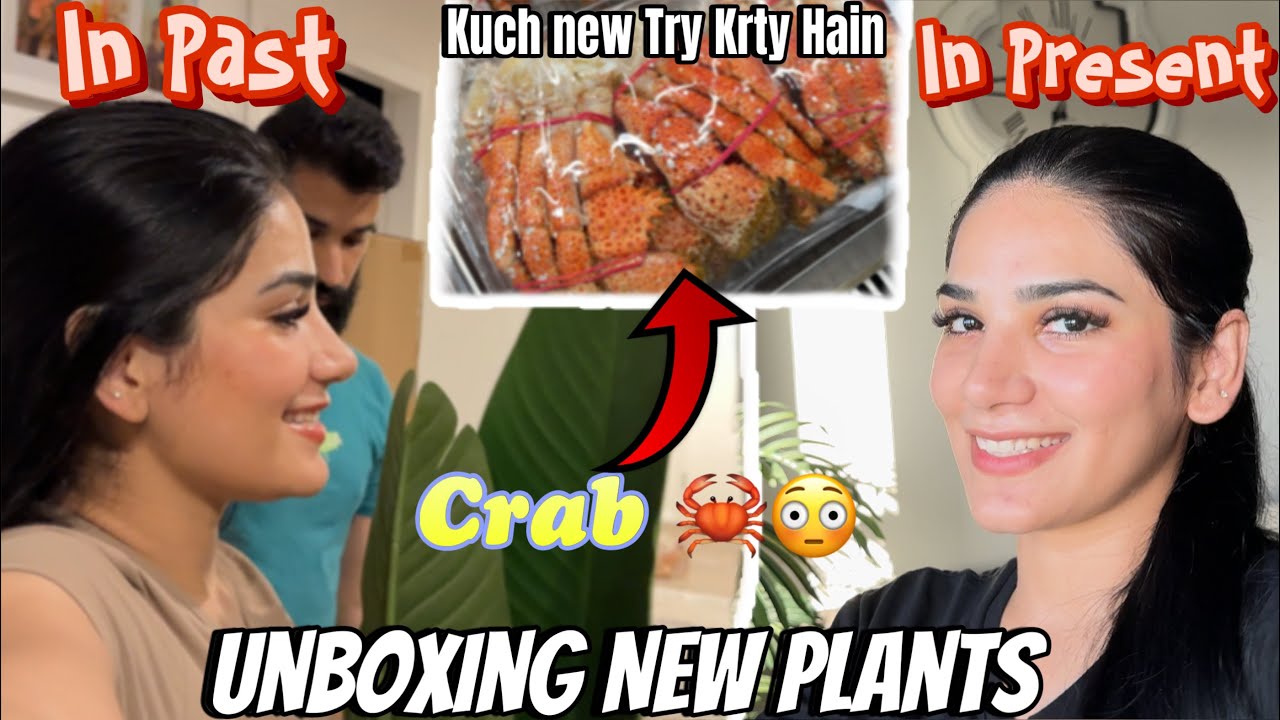 Unboxing Of New Plants 🪴 |Thori Grocery Shopping B Krli 🛒 😂| KHADIJA AFZAL