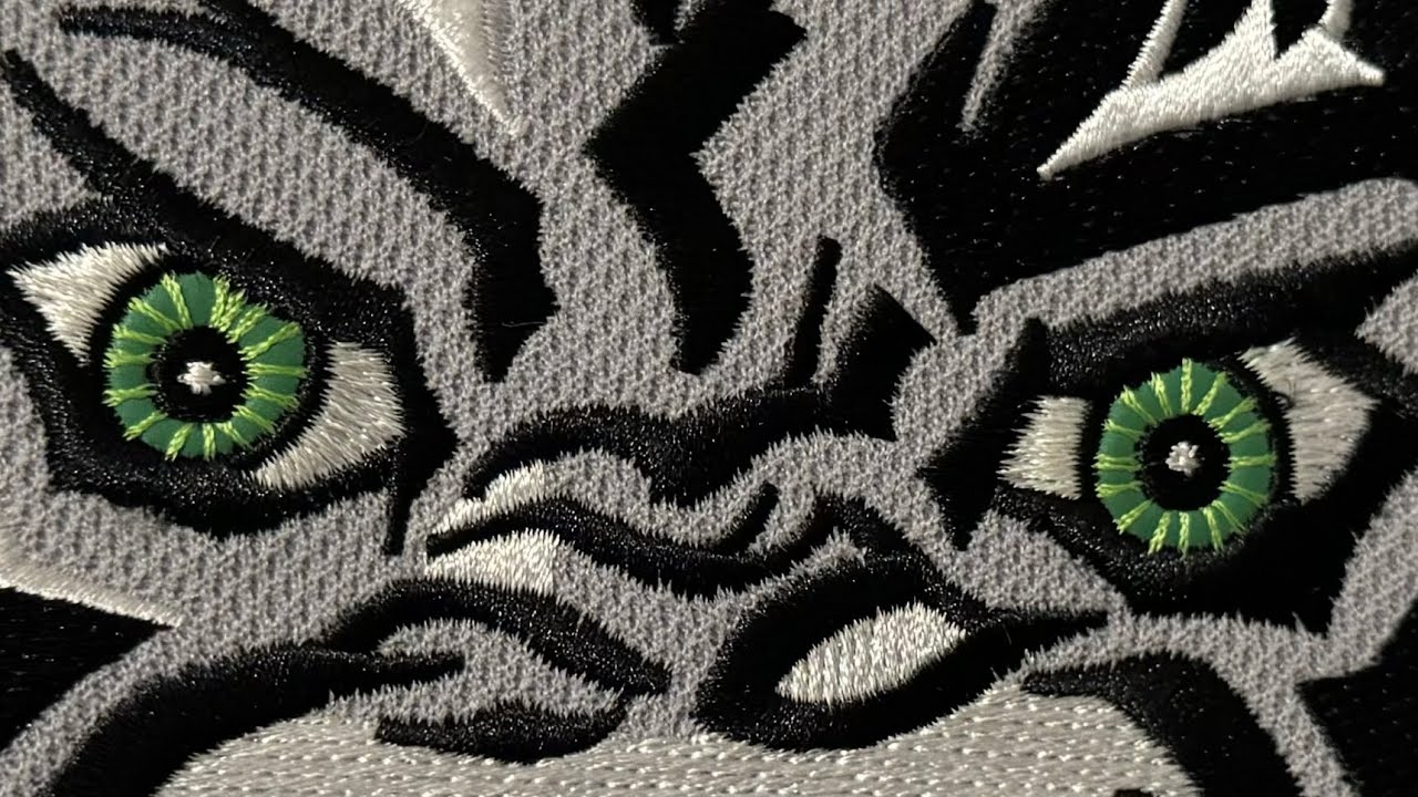 AHL Chicago Wolves Authentic CCM Hockey Jersey Unboxing