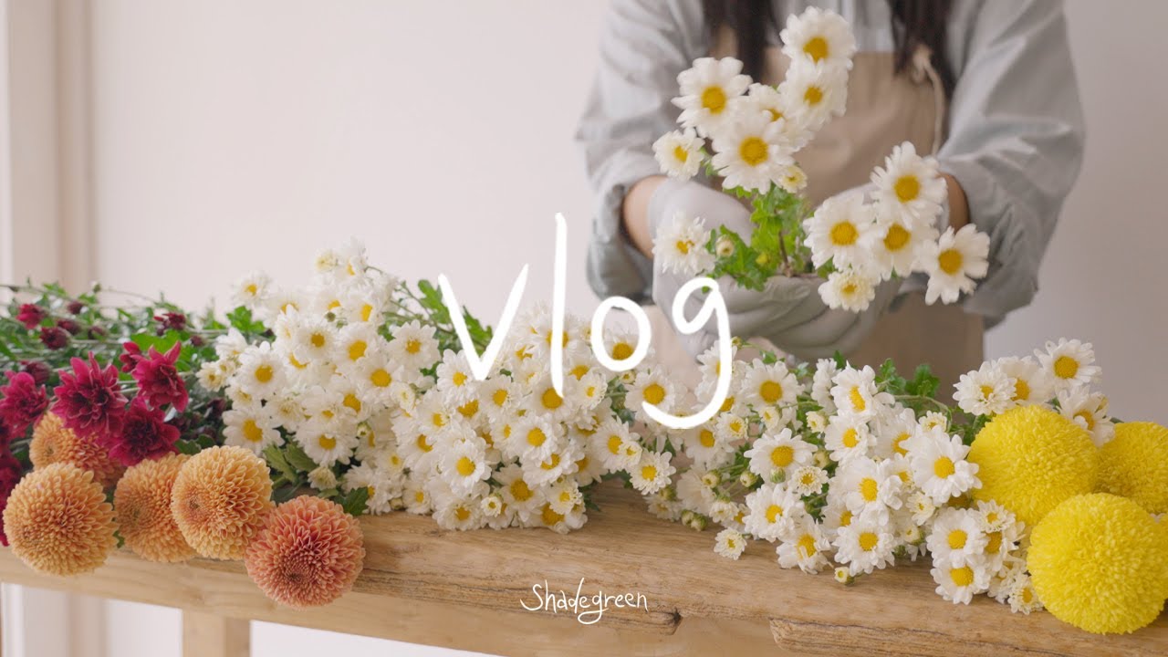 ENG)Flower shop vlog | About 국화! 🌼 | 가을에 가장 아름다운 국화를 소개합니다. | 꽃집 일상, daily flower shop