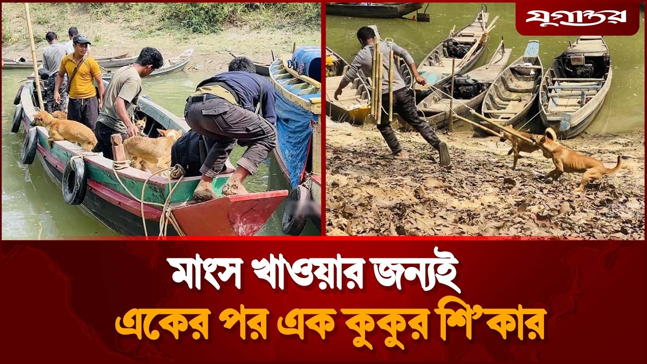 মাংস খাওয়ার জন্যই একের পর এক কুকুর শি’কার | Dog Hunting | Khagrachari | Jugantor