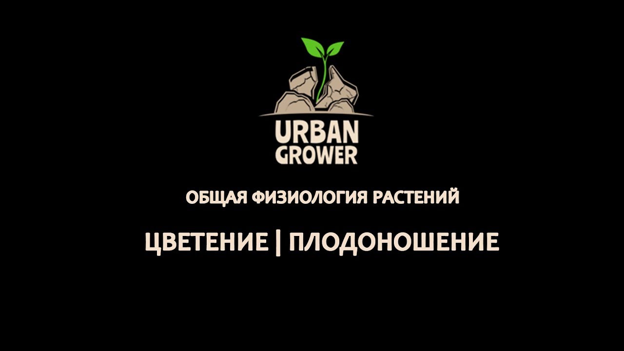 УРБАН ГРОВЕР УРОК 9 - ЦВЕТЕНИЕ | ПЛОДОНОШЕНИЕ - ОБЩАЯ ФИЗИОЛОГИЯ РАСТЕНИЙ