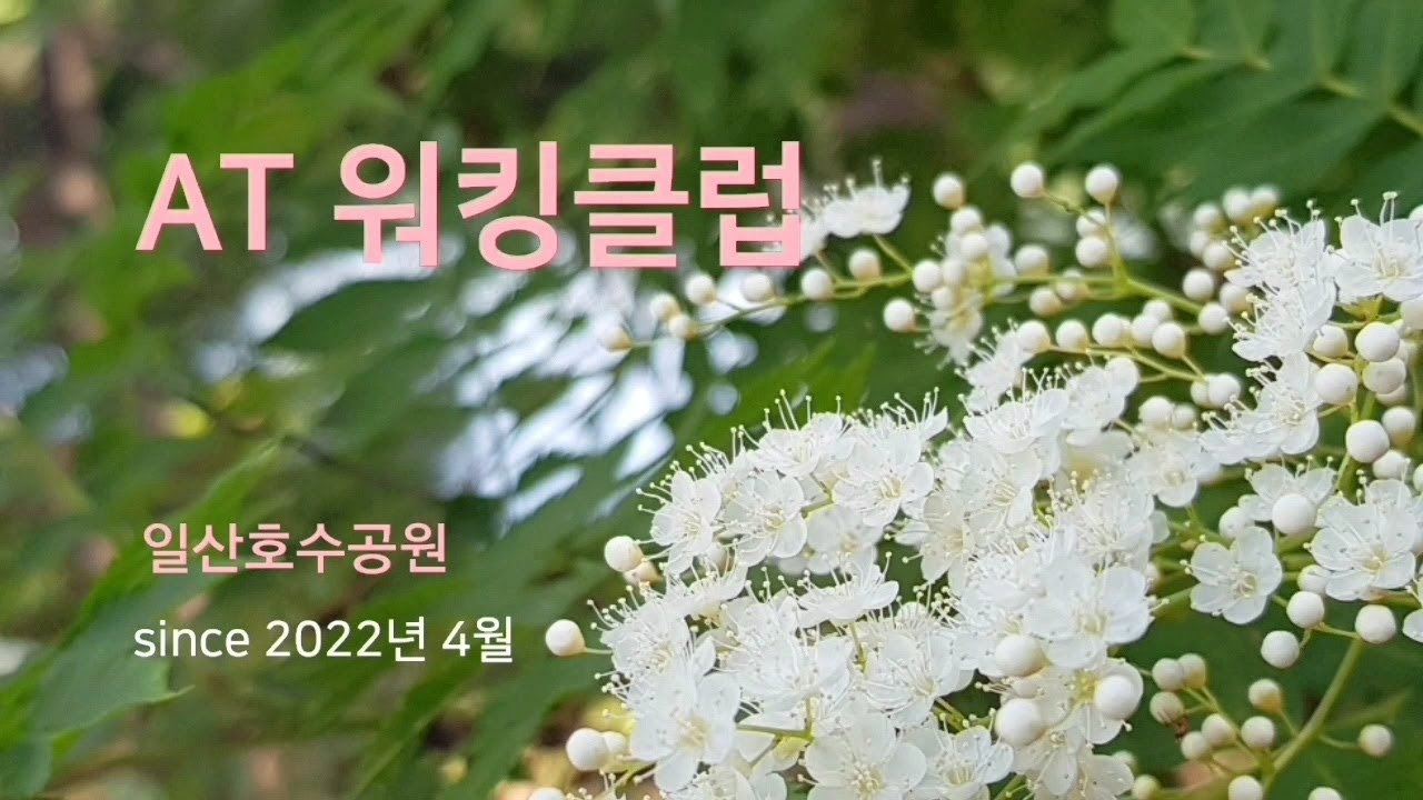 [워킹클럽_일산] (알렉산더테크닉을 배우는 걷기 클럽 / 한국알렉산더테크닉협회 / 일산호수공원 / 박현주 교사)