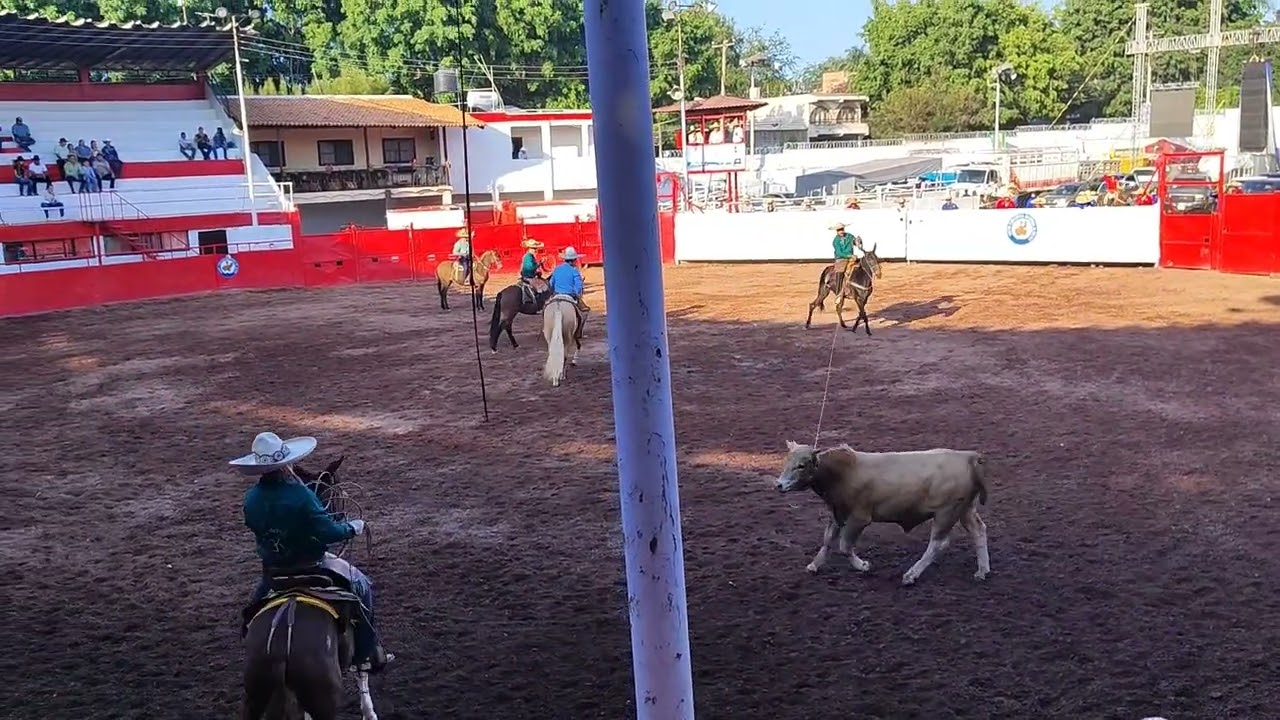 PIALES CORVEROS EN LA EXPO GANADERA 2025.
