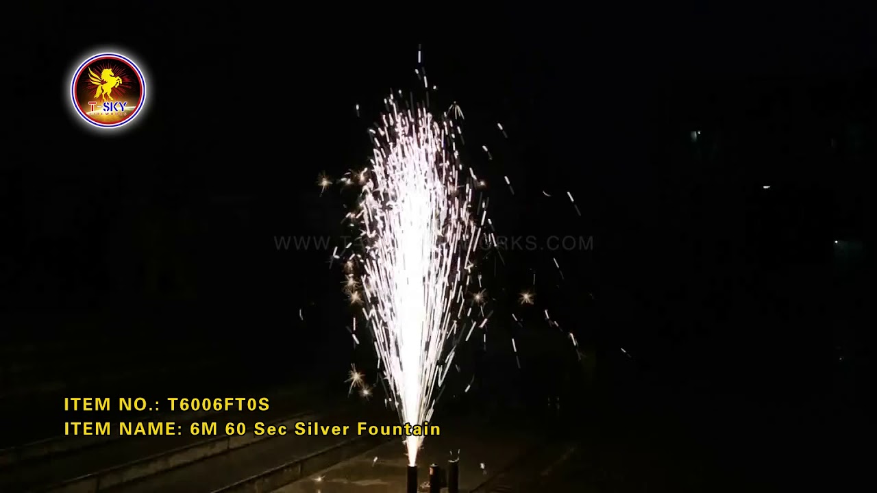 T6006FT0S 6M 60 SEC SILVER FOUNTAIN 1.4  PRO LINE FOUNTAIN