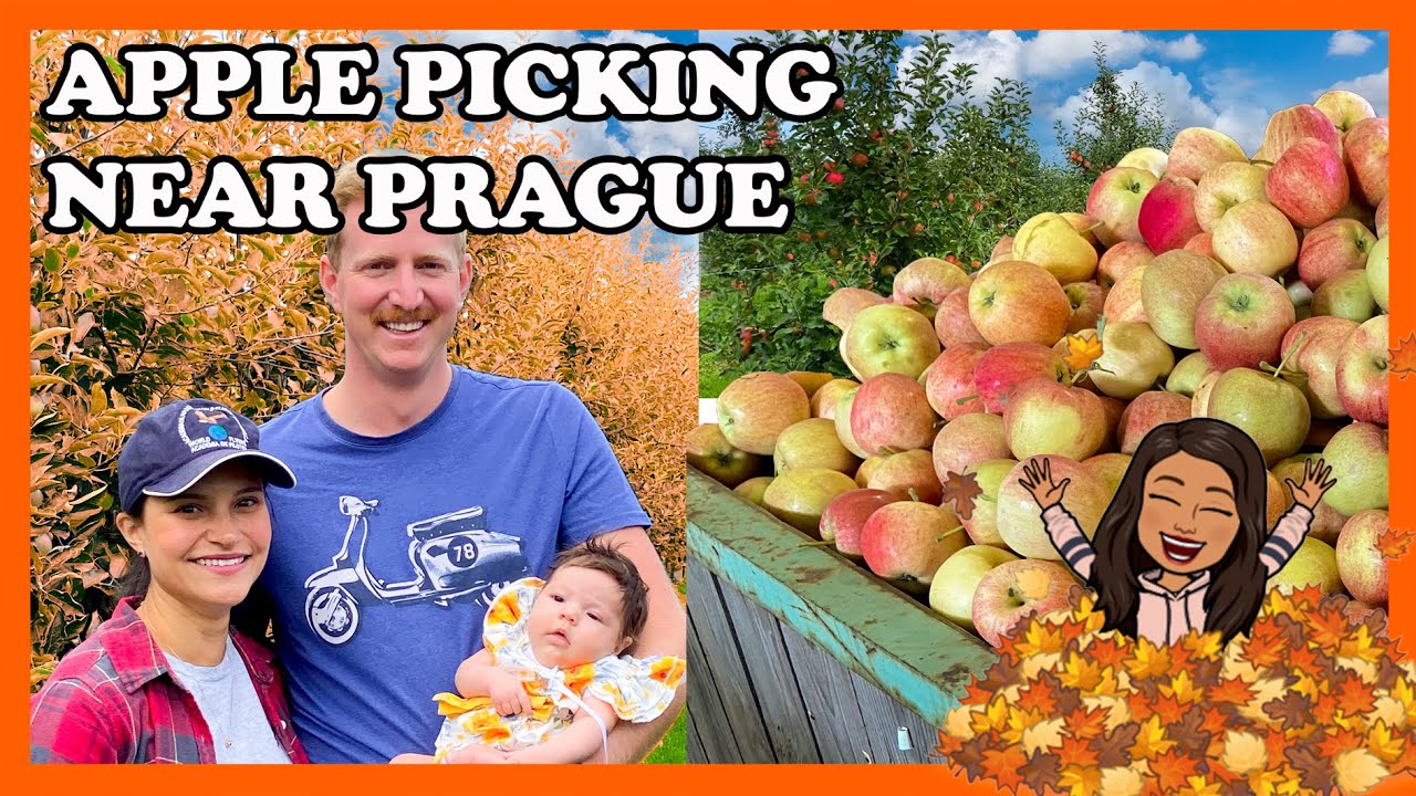 Visiting an apple Orchard in Czech Republic // Life in Prague