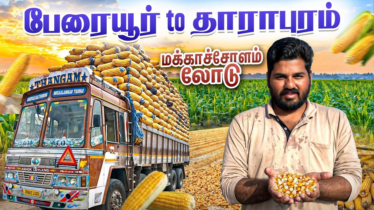 பேரையூர் ஊர் இல்ல சொர்க்கம்❤️🚛மதுரைல நெல்லு இறக்கிட்டு தாராபுரம் 25 Ton சோளம் லோடு ஏற்றலாம் வாங்க💘🚚