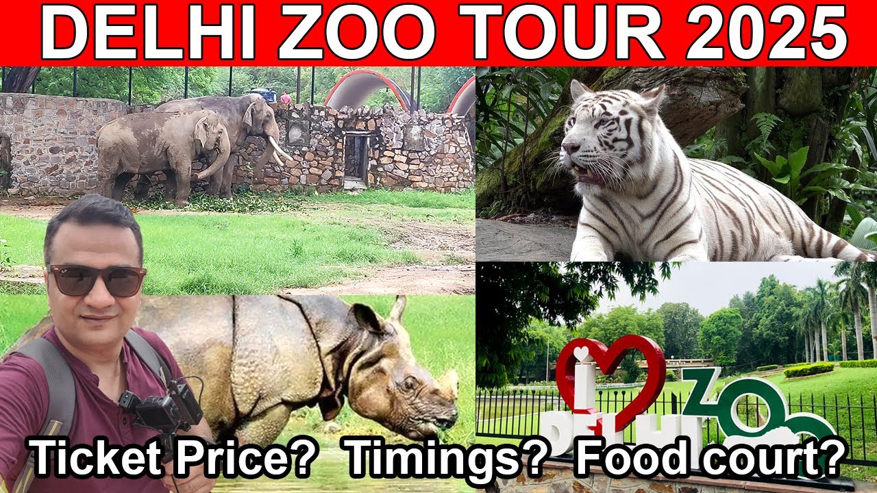 Delhi Zoo 2025 / Delhi ka chidiya ghar / Delhi zoo online ticket booking / delhi zoo all animals