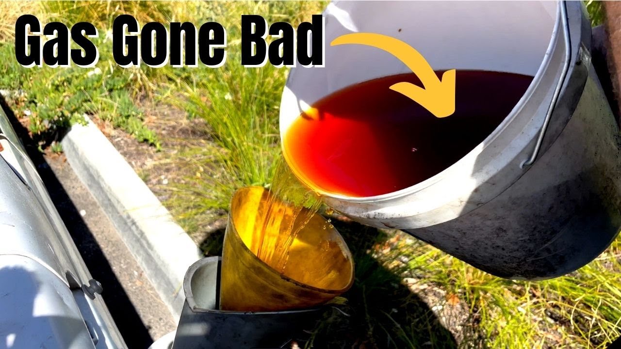 Would you put 10 year old fuel in YOUR TANK?